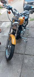 Harley davidson sporster 1200 xl