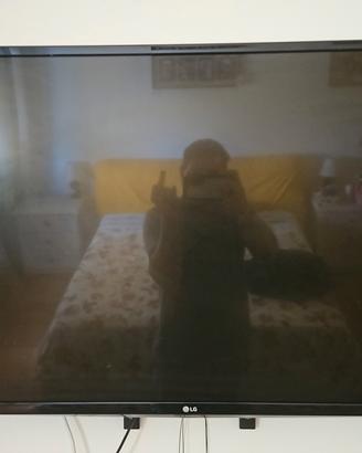 tv 43" lg 
