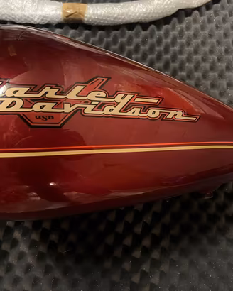 ACCESSRORI HARLEY DAVIDSON