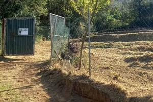 Terreno agricolo