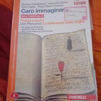 Caro immaginar Poesia e teatro