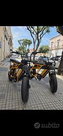bicicletta elettrica 