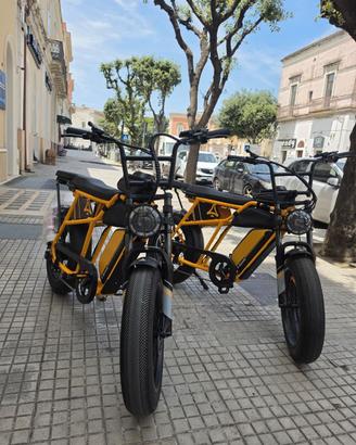 bicicletta elettrica 