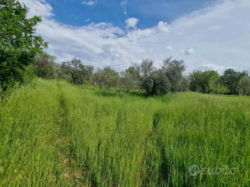 Rustico / Casale di 120 m² con 1 locale e box auto - Vista 5