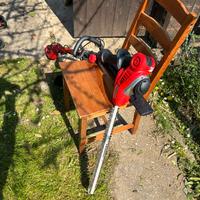 Tagliasiepi regolabile