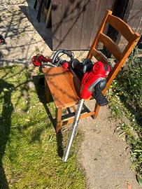 Tagliasiepi regolabile