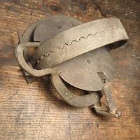 esca tagliola collezionismo decorazione