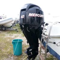 Mercury efi 40cv