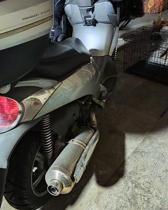 Aprilia scarabeo 500 light 