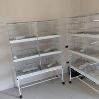 Zincate da 120 per cova