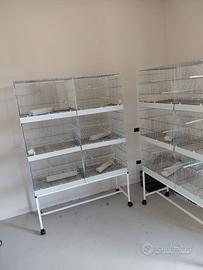 Zincate da 120 per cova