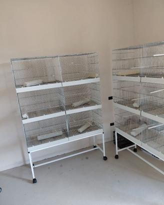 Zincate da 120 per cova