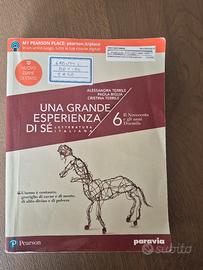 Una grande esperienza di sè 6