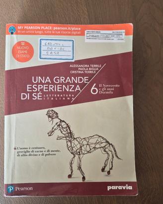 Una grande esperienza di sè 6