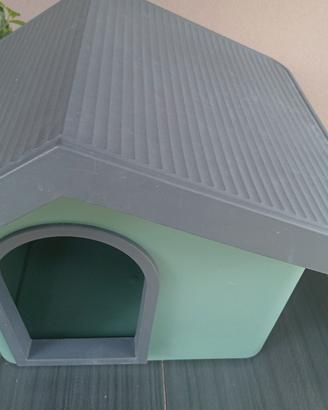 casetta per cagnolino 