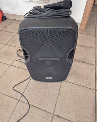 Cassa portatile con microfono