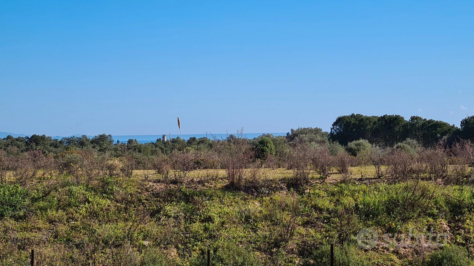 Terreno edificabile Poggio dei Pini - Vista 4