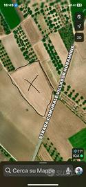 Terreno agricolo