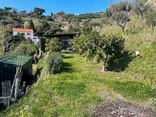 Terreno a fasce - Vista 2