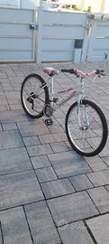 MTB Atala