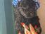 Immagine 6