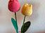 Immagine 2
