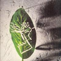 DOMUS. Annata completa 1997 (Lotto 11 numeri)