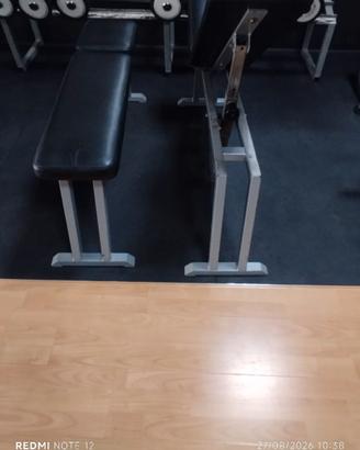 Panche Technogym