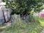 Immagine 27