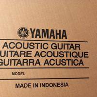 Chitarra Yamaha 