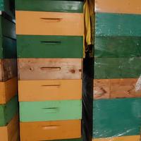 Apicoltura, melari con telaini costruti