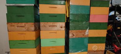 Apicoltura, melari con telaini costruti