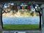 Immagine 6