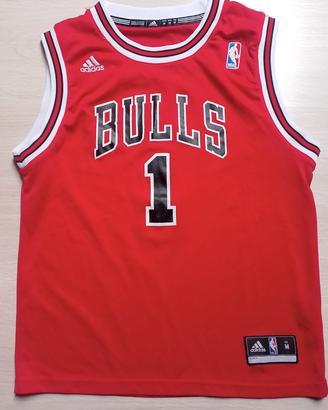 Chicago Bulls Derrick Rose  jr 10/12 anni