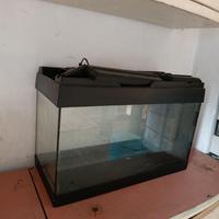 Acquario 70x30 cm a Foggia