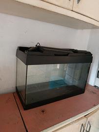 Acquario 70x30 cm a Foggia