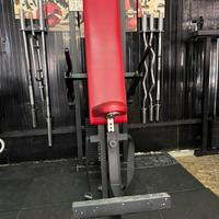 Tricipes press Technogym
