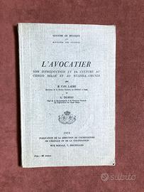 Coltivazione avocado - Van Laere e Dubois - 1953
