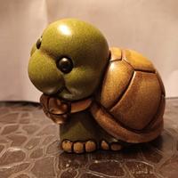 tartaruga #cute Thun