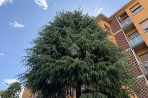 4 LOCALI A BOLOGNA