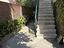 Immagine 11
