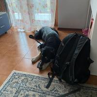 Una casa per il piccolo jason