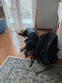 Una casa per il piccolo jason