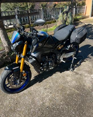 Mt 09 sp