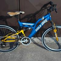 bicicletta per ragazzi 