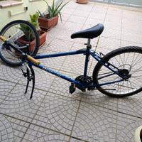 Mountain bike bianchi