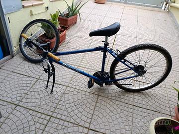 Mountain bike bianchi