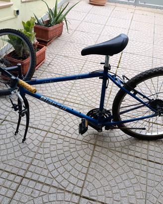 Mountain bike bianchi