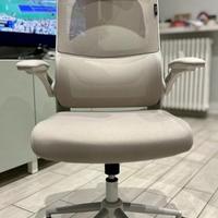 Sedia ergonomica HBADA P1 come nuova (pagata 170€)