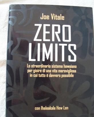 JOE VITALE   -   NO LIMITS